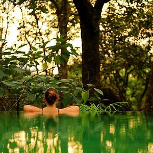 Wayanad Wild - A Cgh Earth Experience